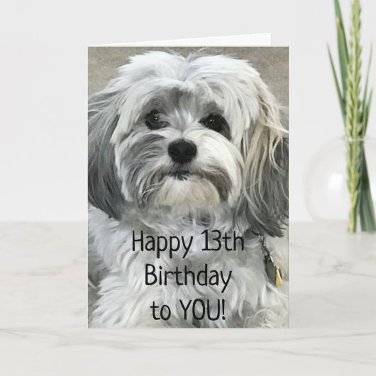 MOET GEWELDIG ZIJN OM EEN TIENER "13e" VERJAARDAG Kaart (Voorkant)