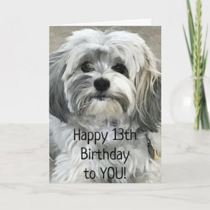 MOET GEWELDIG ZIJN OM EEN TIENER "13e" VERJAARDAG  Kaart