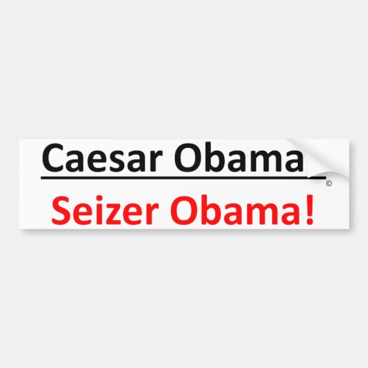 Moet het Caesar Obama of Seizer Obama zijn? Bumpersticker (Voorkant)