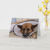 "Moet ik dit draag? " Kaart (Gele Bloem)