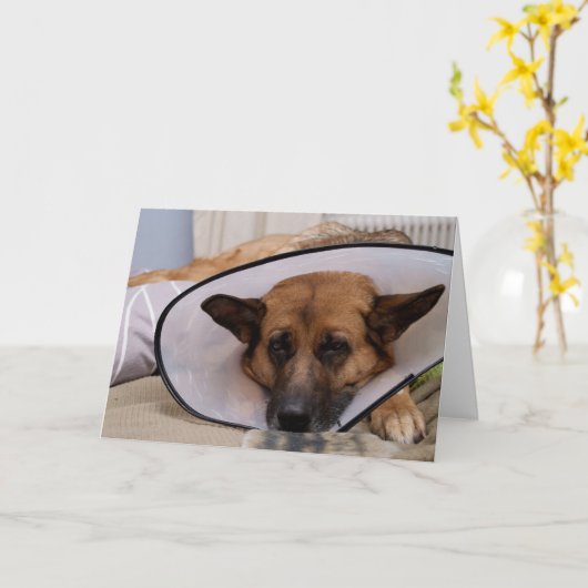 "Moet ik dit draag? " Kaart (Gele Bloem)