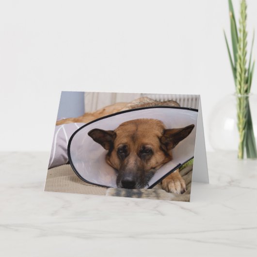 "Moet ik dit draag? " Kaart (Voorkant)