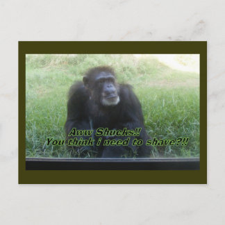 Moet ik me scheren? briefkaart