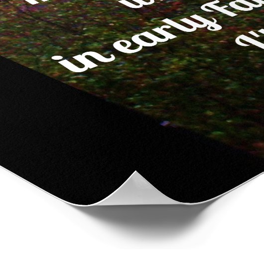 MOET U EERSTE POSTER GAAN (Hoek)