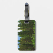 Moffat Road Pine Trees Colorado Bagagelabel (Achterkant verticaal)