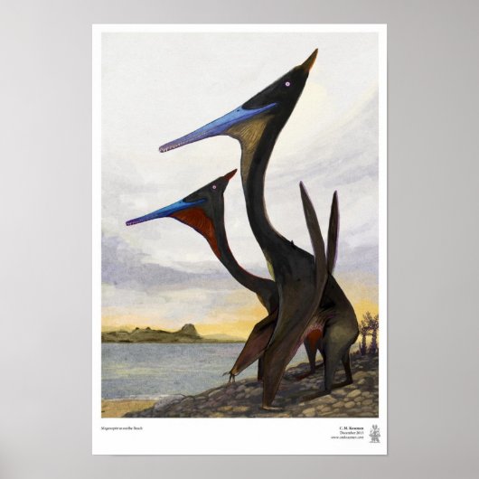 Moganopterus bij het strand poster (Voorkant)