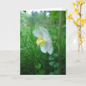 Moge appelbloesem Kaart (Gele Bloem)