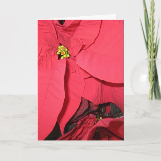 Moge de Heilige Engelen Kaart (Voorkant)