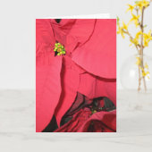 Moge de Heilige Engelen Kaart (Gele Bloem)