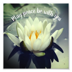 Moge de vrede met u zijn Lotus Inspirerend 8x8 Foto Afdruk