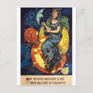 Moge deze heks je een vogel uit Halloween brengen Briefkaart