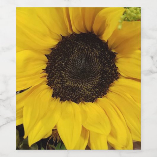 Moge elke dag zon zijn! wijn etiket (Enkel label)