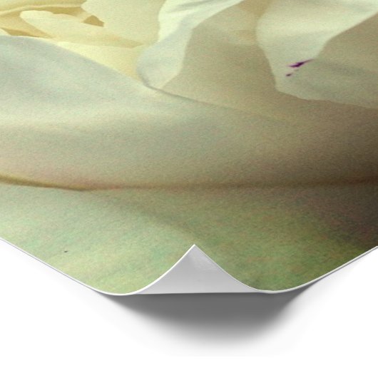 Moge er vrede zijn met jullie Peony-Inspirerend Poster (Hoek)