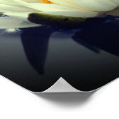 Moge er vrede zijn met u Lotus Inspirerend Poster (Hoek)