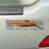Moge foto's 003, ik rem voor kranten! bumpersticker (Op auto)