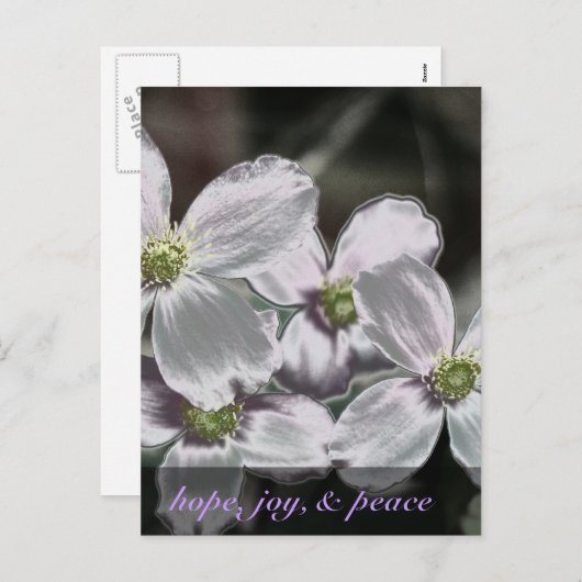 Moge God u hoop, vreugde en vredelievende Romeinen Feestdagenkaart (Voorkant / Achterkant)