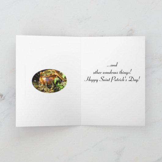 "Moge je dag vol magie zitten!" Kaart (Binnen)