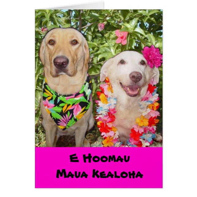 Moge onze liefde eeuwig blijven! (Voorkant)