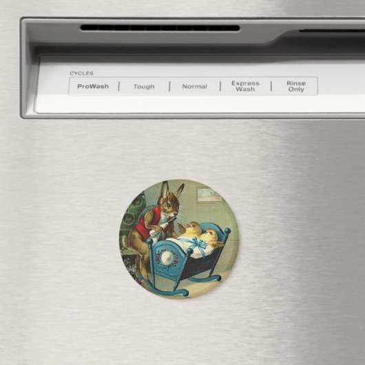 Moge Pasen je  bijwonen Magneet (Insitu (Vaatwasser))