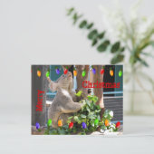 Moge uw licht helder schijnen. Briefkaart (Staand voorkant)