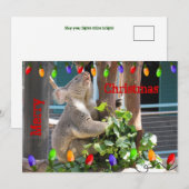 Moge uw lichten helder schijnen. Koala Kerstmis Feestdagenkaart (Voorkant / Achterkant)