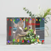Moge uw lichten helder schijnen. Koala Kerstmis Feestdagenkaart (Staand voorkant)