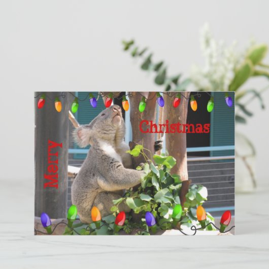 Moge uw lichten helder schijnen. Koala Kerstmis Feestdagenkaart (Staand voorkant)