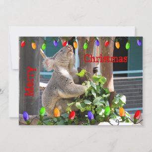 Moge uw lichten helder schijnen. Koala Kerstmis Feestdagenkaart