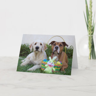 Moge uw Pasen een eicel zijn Feestdagen Kaart