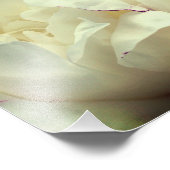 Moge vrede met u zijn Peony Inspirerend 8x8 Foto Afdruk (Hoek)