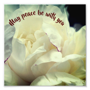 Moge vrede met u zijn Peony Inspirerend 8x8 Foto Afdruk