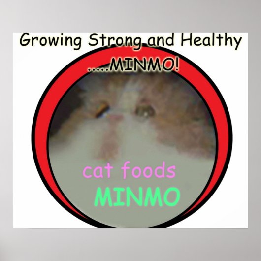 Mogelijk de meest obscure Silent Hill 3-referentie Poster (Voorkant)