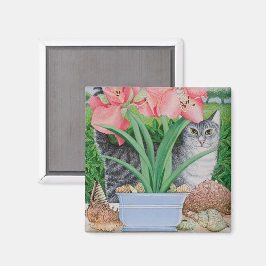 Mogelijkheden 2011 onderzoeken magneet (Voorkant / Achterkant)