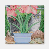 Mogelijkheden 2011 onderzoeken magneet (Voorkant)