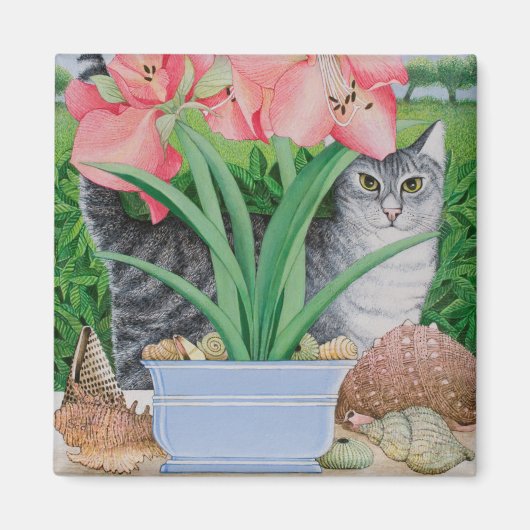 Mogelijkheden 2011 onderzoeken magneet (Voorkant)