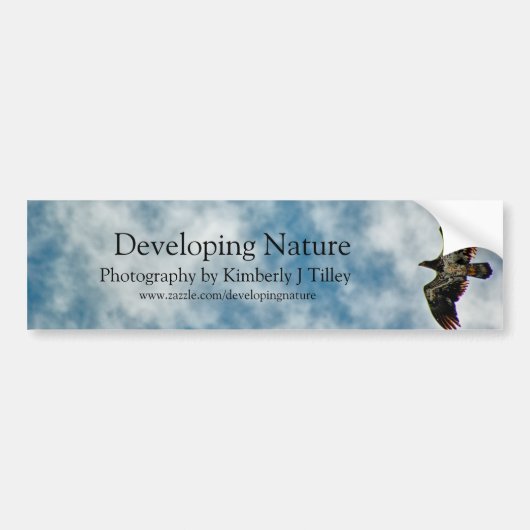 Mogelijkheden Bumpersticker (Voorkant)