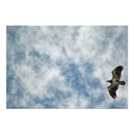 Mogelijkheden Foto Afdruk