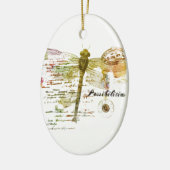 Mogelijkheden libel keramisch ornament (Links)