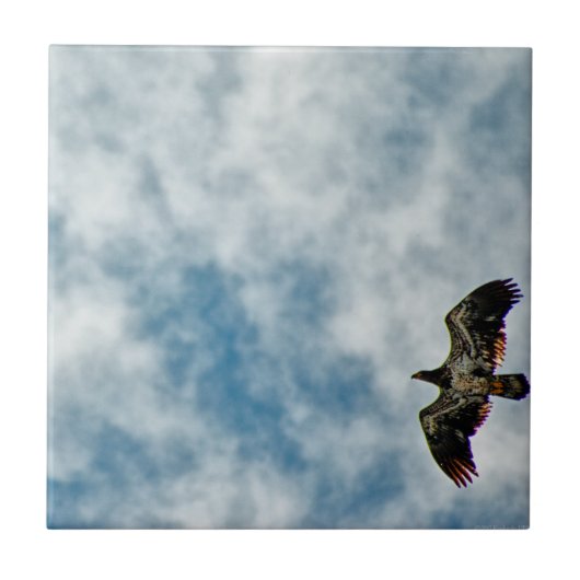 Mogelijkheden Tegeltje (Voorkant)