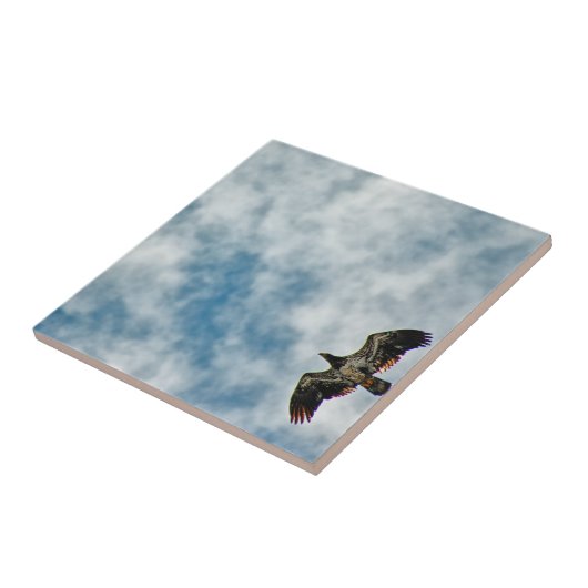 Mogelijkheden Tegeltje (Zijkant)