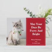 Mogen je dagen wollig en helder zijn Kerstkat Feestdagenkaart (Staand voorkant)
