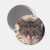 MOGGY MAGNEET (Voorkant / Achterkant)