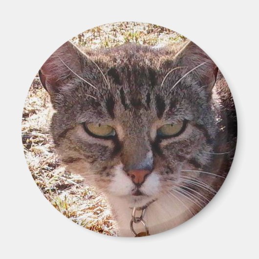 MOGGY MAGNEET (Voorkant)