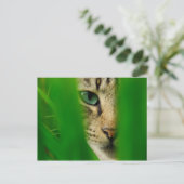 Moggy Playing Briefkaart (Staand voorkant)