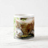 Mohan & Jaffa Koffiemok (Center)