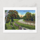 Mohawk Trail nadert Top van Shelburne Briefkaart (Voorkant)