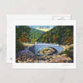 Mohawk Trail Uitzicht van de Koudrivierbrug Briefkaart (Voorkant / Achterkant)