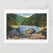 Mohawk Trail Uitzicht van de Koudrivierbrug Briefkaart (Voorkant)