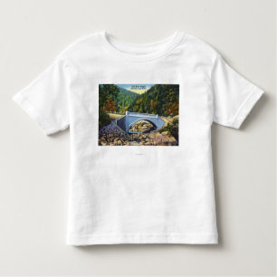 Mohawk Trail Uitzicht van de Koudrivierbrug Kinder Shirts
