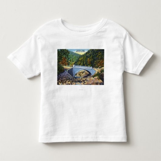 Mohawk Trail Uitzicht van de Koudrivierbrug Kinder Shirts (Voorkant)